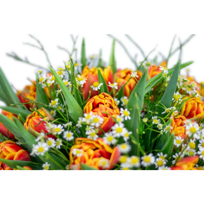 Bouquet of premium tulips